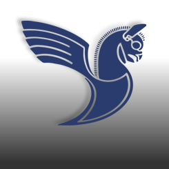 flag carrier of Iran